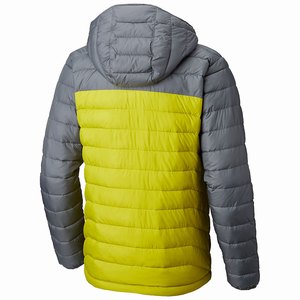 Columbia Powder Lite™ Hooded Insulated Jacka Herr Gröna/Grå (YPBSF6028)